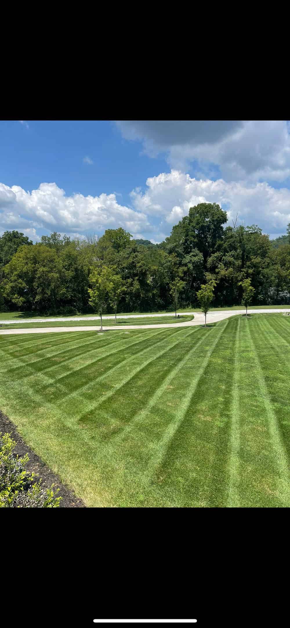 Sod Installation image