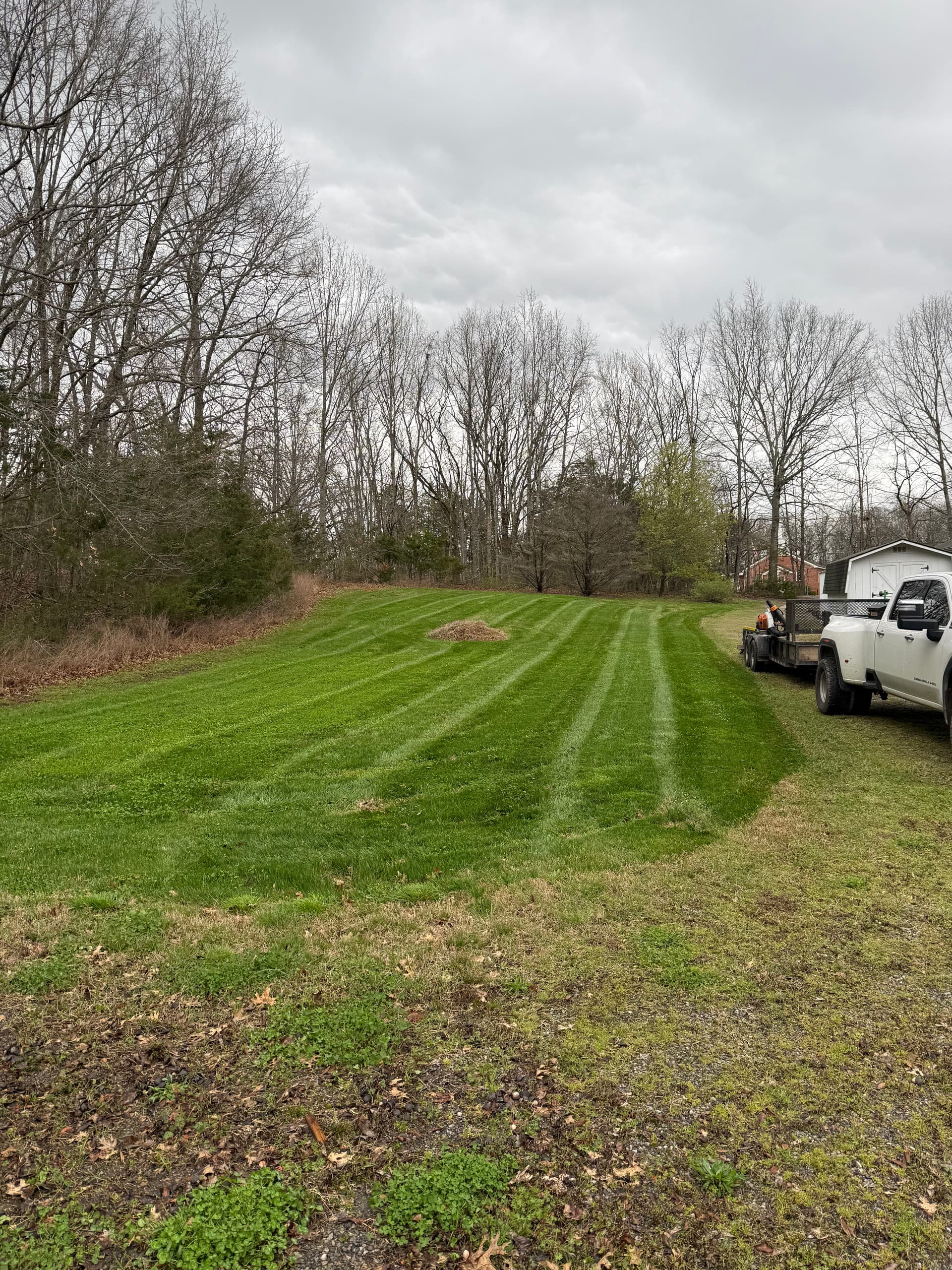 Gallery photos for Fresh Mulch, Trimmed Bushes, and a Clean Mow All in One Visit: Image #2