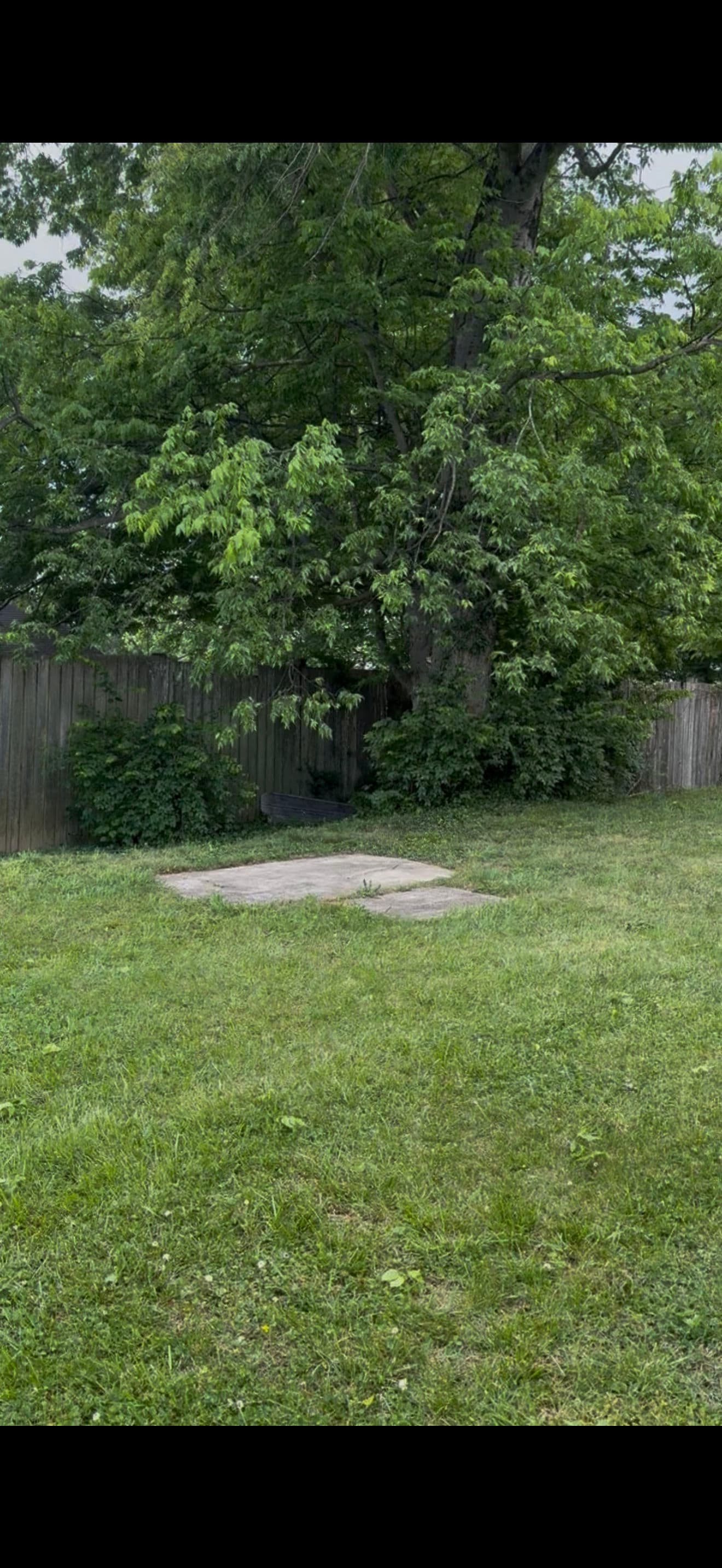 Gallery photos for Storm Damage Cleanup That Gets Your Yard Back Fast: Image #1