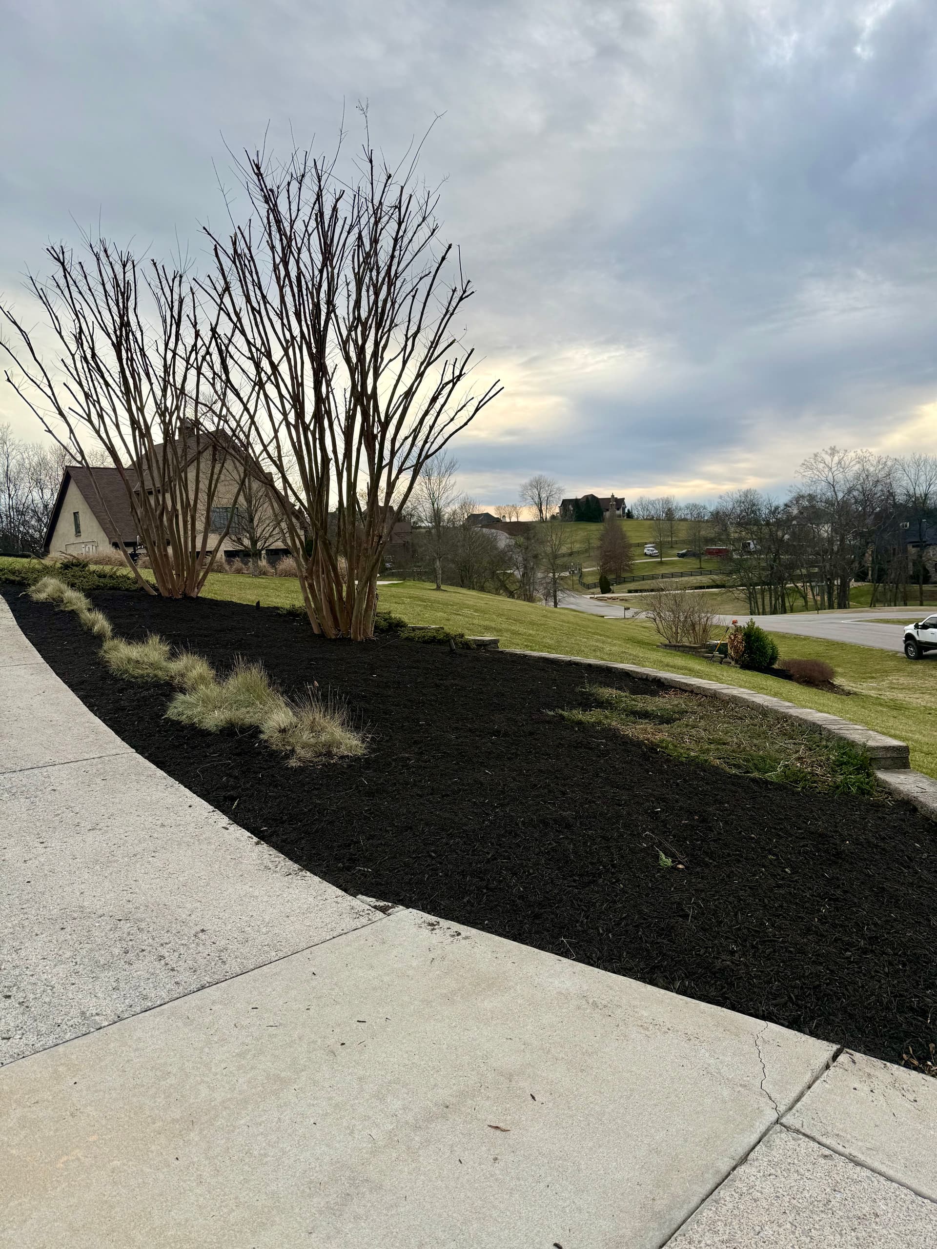 Gallery photos for 30 Yards of Mulch and a Full Landscape Cleanup Done Right: Image #5