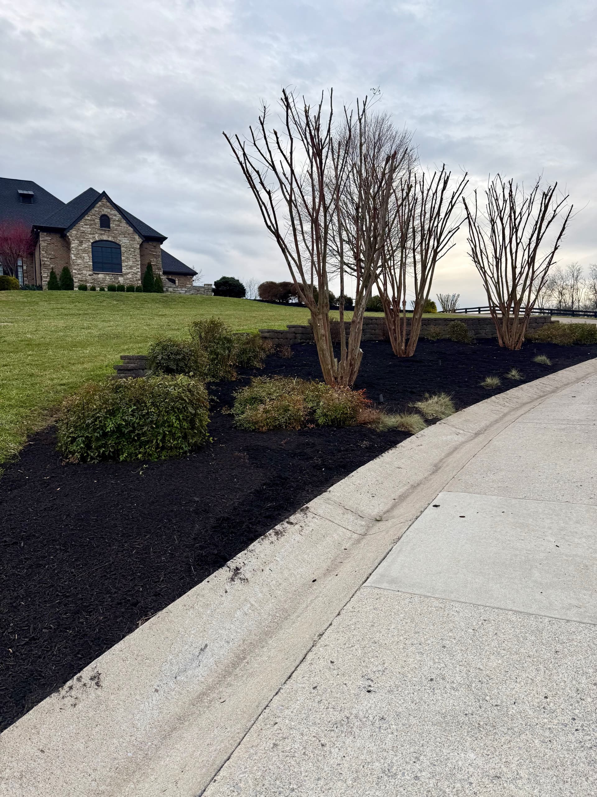 Gallery photos for 30 Yards of Mulch and a Full Landscape Cleanup Done Right: Image #4