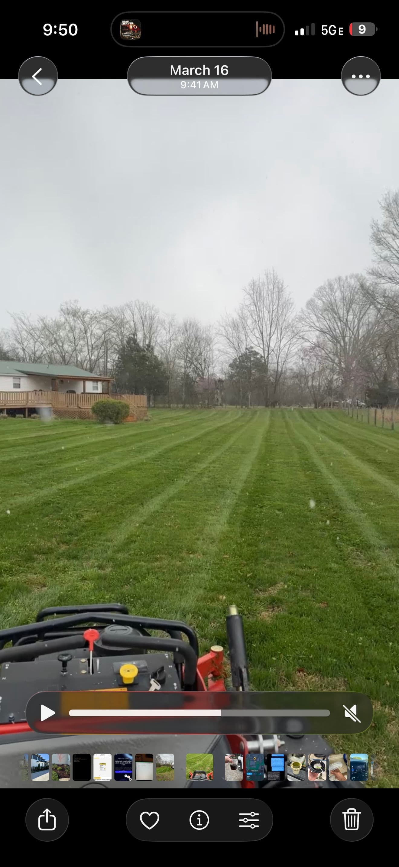 Gallery photos for Fresh Mulch, Trimmed Bushes, and a Clean Mow All in One Visit: Image #3