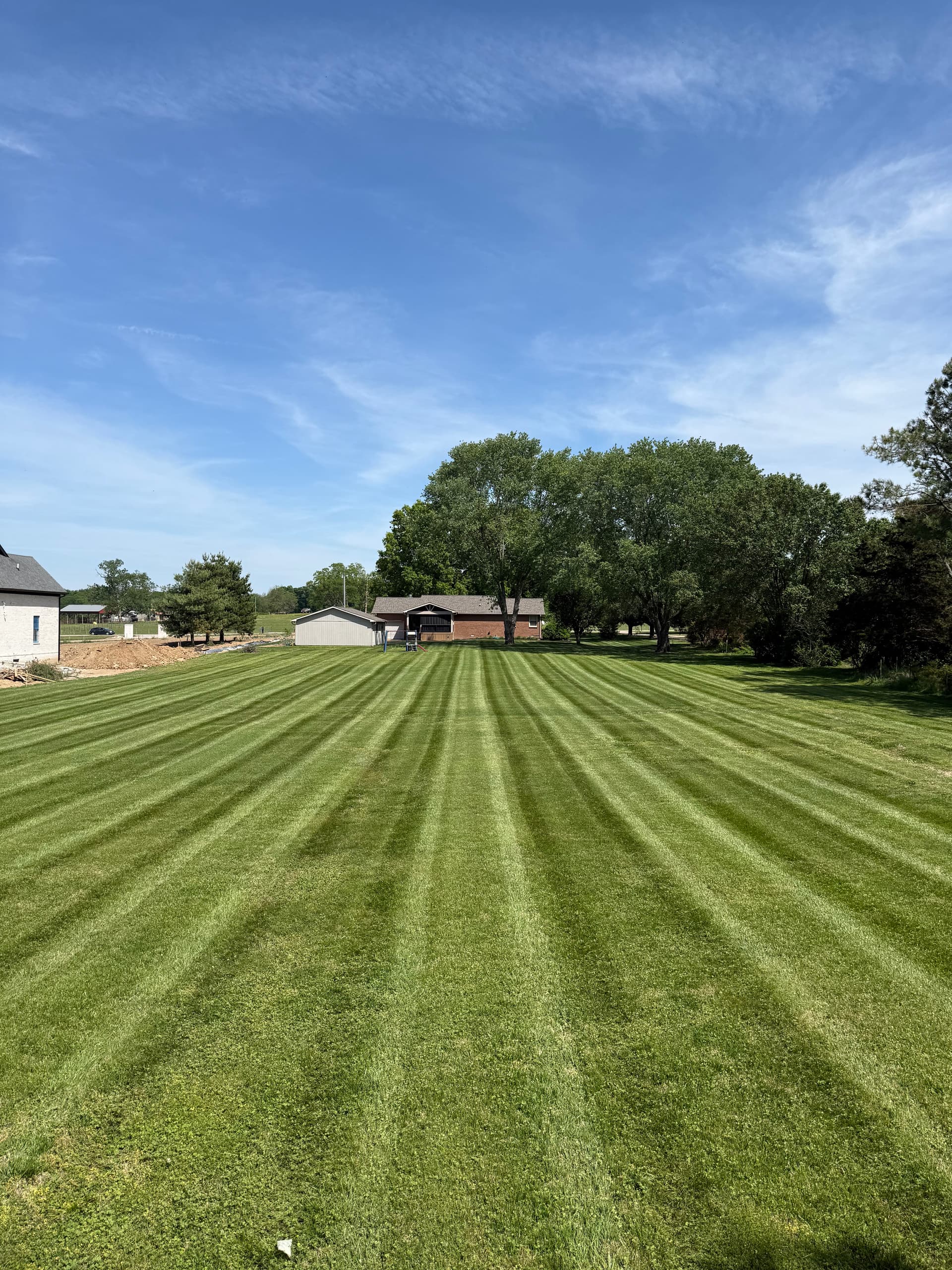 What a Healthy, Well-Fed Lawn Actually Looks Like image