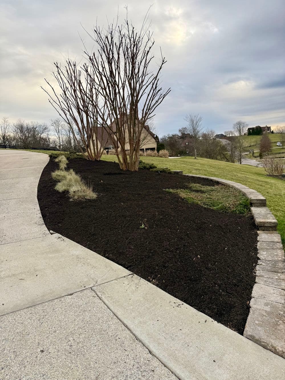 Landscaped garden with a flowering tree, fresh mulch, and stone edging along a driveway.
