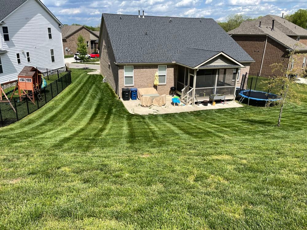 Backyard with well-maintained striped lawn, house featuring porch, trampoline, and playset nearby.