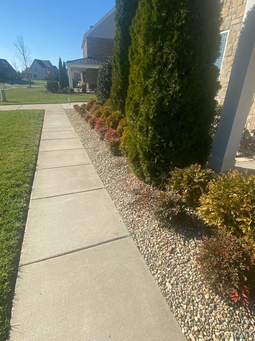 Sidewalk bordered by vibrant landscaping and evergreen shrubs under a clear blue sky.