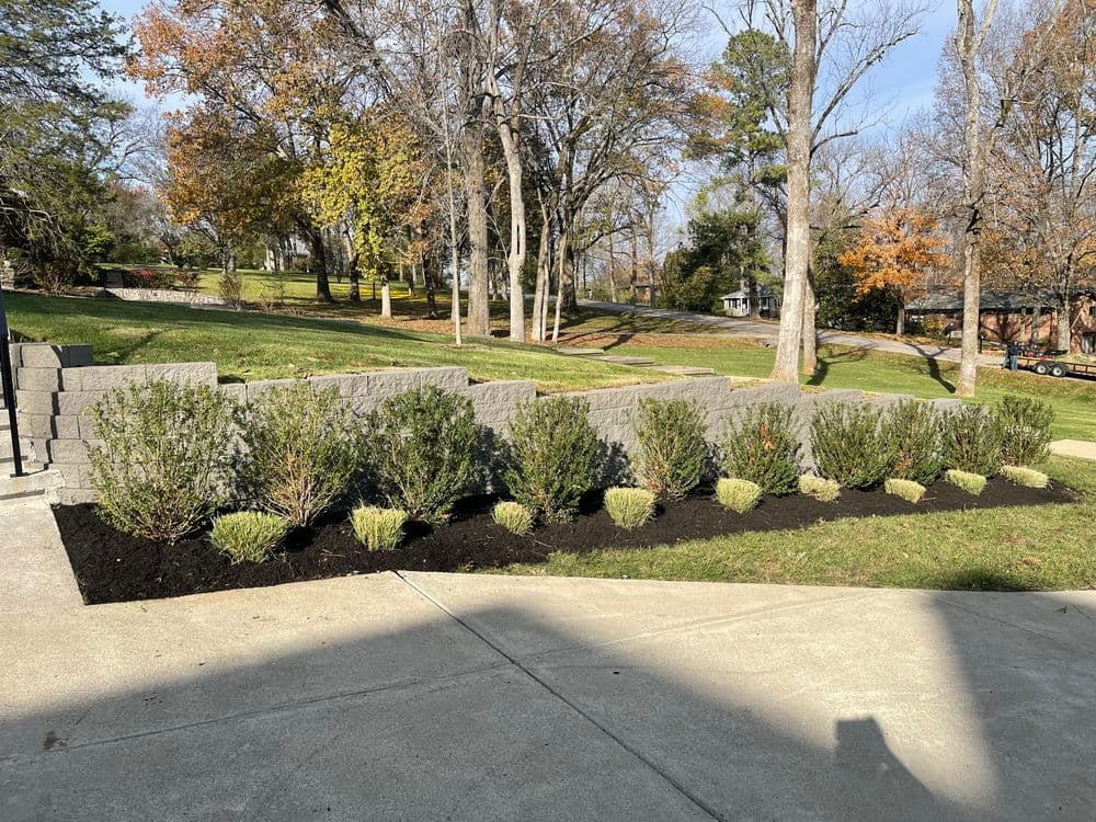 Landscape featuring neatly arranged stone walls and freshly planted shrubs with mulch.
