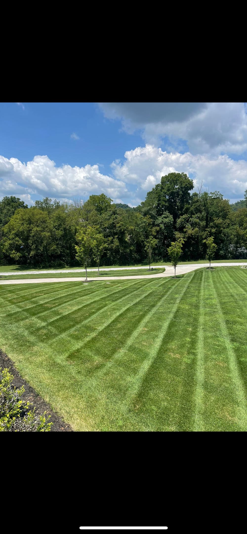 Lush green lawn with striped pattern and trees under a bright blue sky. Perfect landscaping.