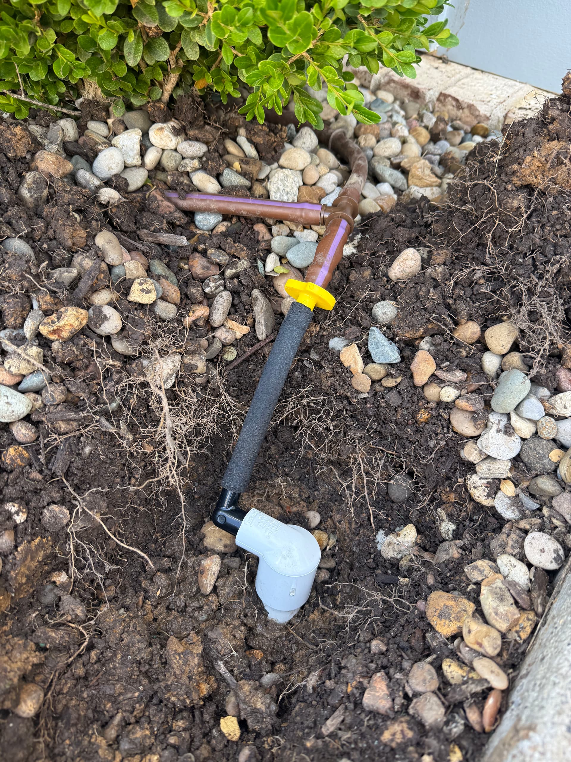 Gallery photos for Broken Drip Line Repair That Stopped Weeks of Water Waste: Image #1